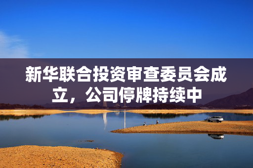 新华联合投资审查委员会成立，公司停牌持续中