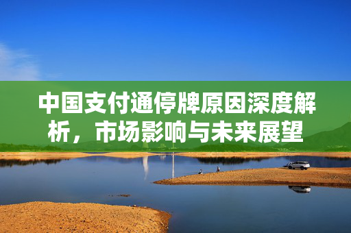 中国支付通停牌原因深度解析，市场影响与未来展望