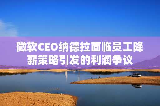 微软CEO纳德拉面临员工降薪策略引发的利润争议
