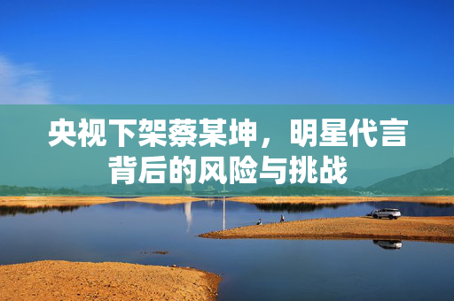 央视下架蔡某坤，明星代言背后的风险与挑战