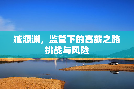 臧源渊，监管下的高薪之路挑战与风险