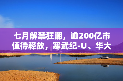 七月解禁狂潮，逾200亿市值待释放，寒武纪-U、华大九天领衔