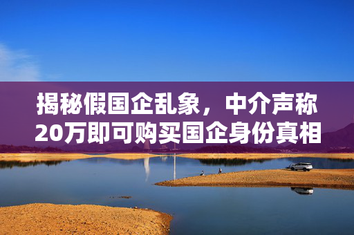揭秘假国企乱象，中介声称20万即可购买国企身份真相探究