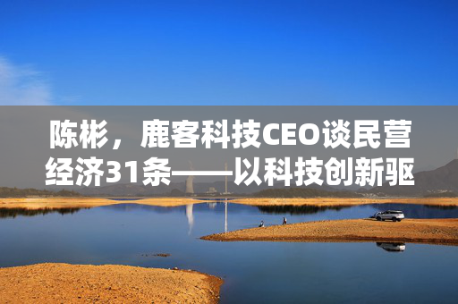 陈彬，鹿客科技CEO谈民营经济31条——以科技创新驱动发展，把握新机遇