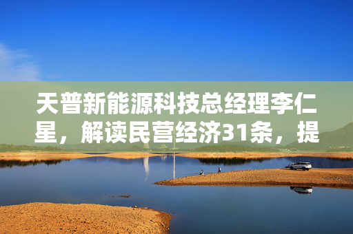 天普新能源科技总经理李仁星，解读民营经济31条，提振信心，增强企业活力