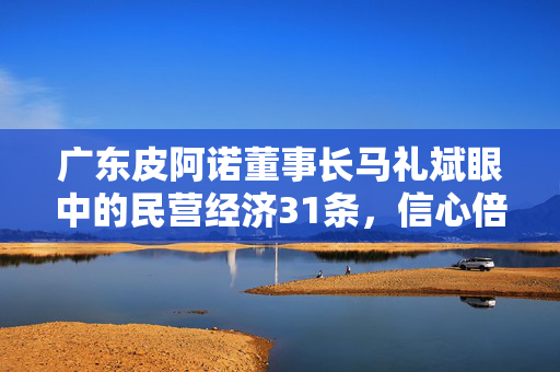 广东皮阿诺董事长马礼斌眼中的民营经济31条，信心倍增的喜讯