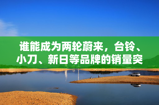 谁能成为两轮蔚来，台铃、小刀、新日等品牌的销量突破挑战与机遇