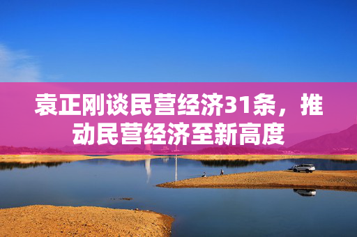袁正刚谈民营经济31条，推动民营经济至新高度