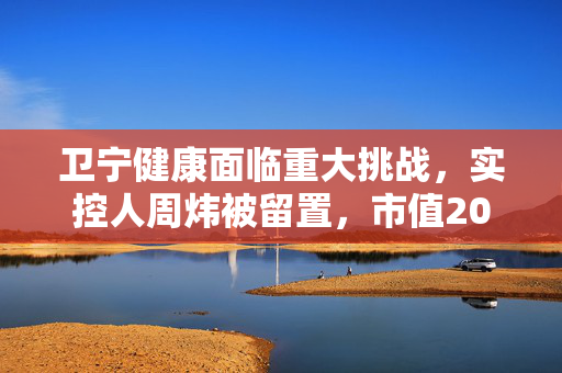 卫宁健康面临重大挑战，实控人周炜被留置，市值200亿医疗信息化龙头的困境