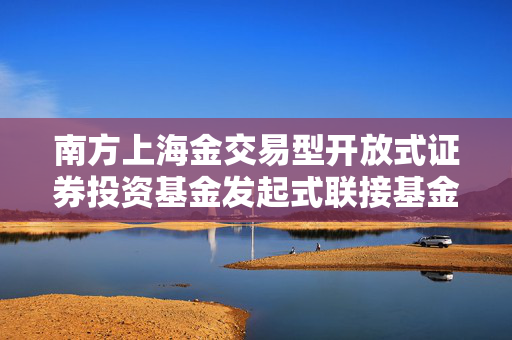 南方上海金交易型开放式证券投资基金发起式联接基金份额发售公告全面解析