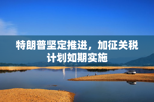 特朗普坚定推进，加征关税计划如期实施