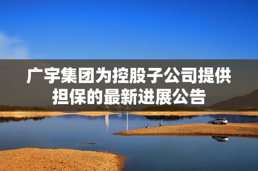广宇集团为控股子公司提供担保的最新进展公告