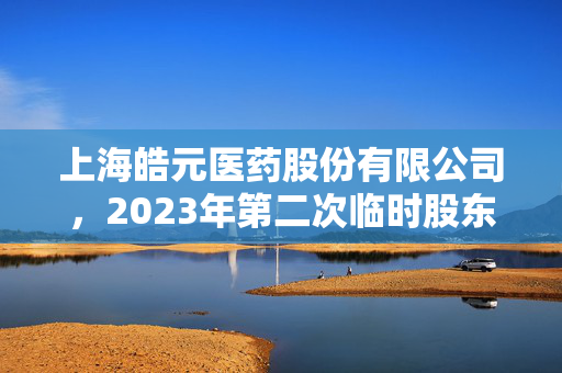 上海皓元医药股份有限公司，2023年第二次临时股东大会召开通知