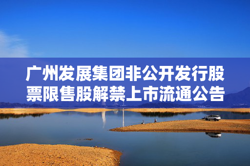 广州发展集团非公开发行股票限售股解禁上市流通公告