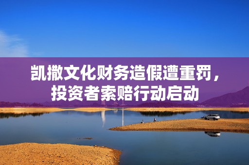 凯撒文化财务造假遭重罚，投资者索赔行动启动