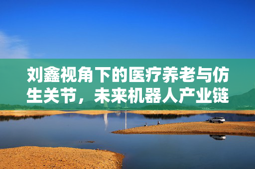 刘鑫视角下的医疗养老与仿生关节，未来机器人产业链布局探索的深度视频揭秘