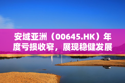 安域亚洲（00645.HK）年度亏损收窄，展现稳健发展之势