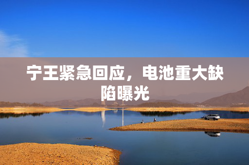 宁王紧急回应，电池重大缺陷曝光