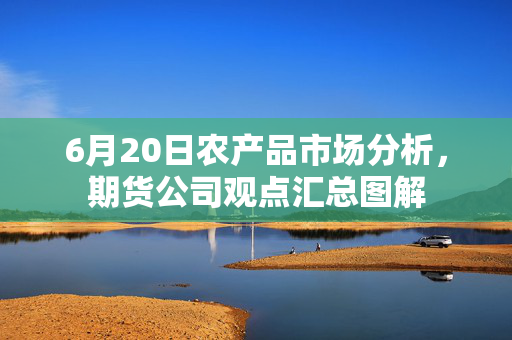 6月20日农产品市场分析，期货公司观点汇总图解