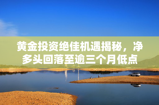 黄金投资绝佳机遇揭秘，净多头回落至逾三个月低点