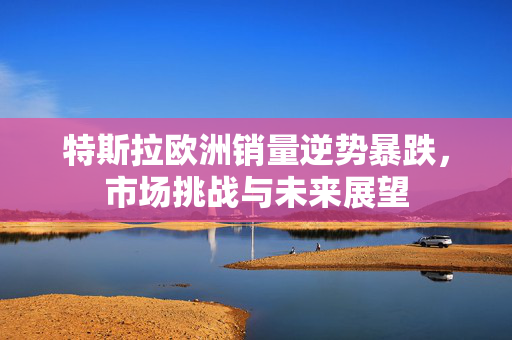 特斯拉欧洲销量逆势暴跌，市场挑战与未来展望