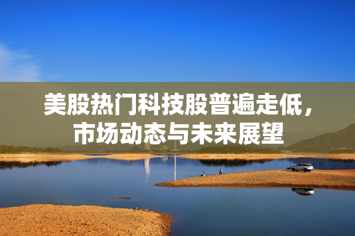 美股热门科技股普遍走低，市场动态与未来展望