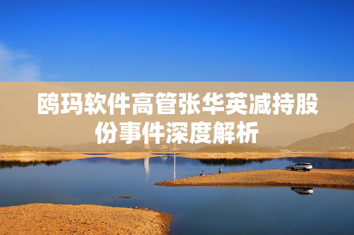 鸥玛软件高管张华英减持股份事件深度解析