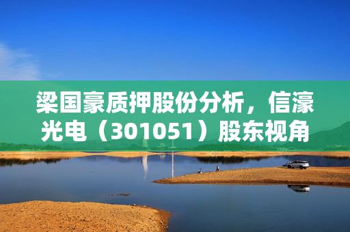 梁国豪质押股份分析，信濠光电（301051）股东视角