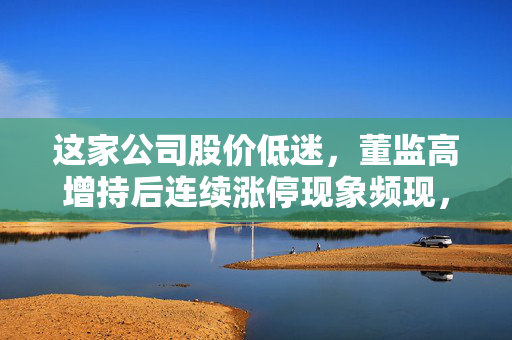 这家公司股价低迷，董监高增持后连续涨停现象频现，增持保壳策略显成效