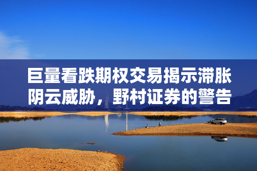 巨量看跌期权交易揭示滞胀阴云威胁，野村证券的警告