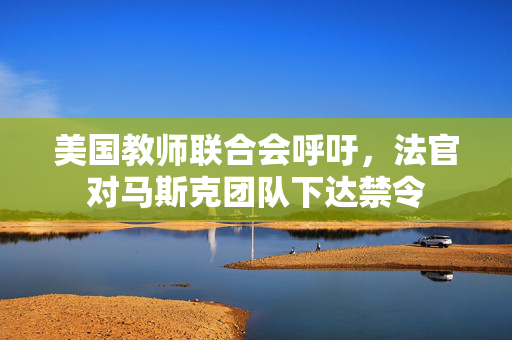 美国教师联合会呼吁，法官对马斯克团队下达禁令