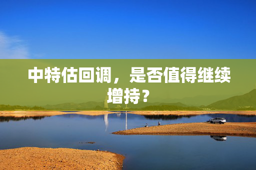 中特估回调，是否值得继续增持？
