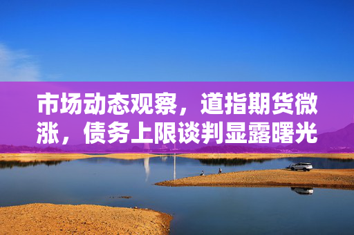 市场动态观察，道指期货微涨，债务上限谈判显露曙光