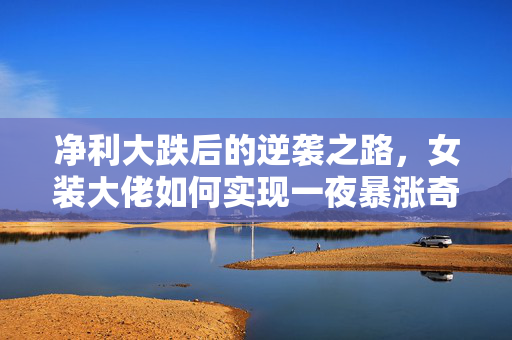 净利大跌后的逆袭之路，女装大佬如何实现一夜暴涨奇迹？