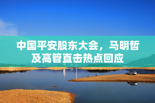 中国平安股东大会，马明哲及高管直击热点回应