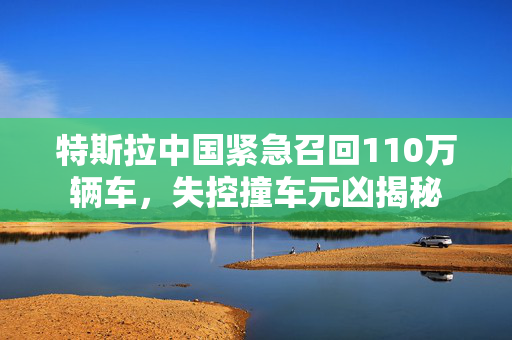 特斯拉中国紧急召回110万辆车，失控撞车元凶揭秘
