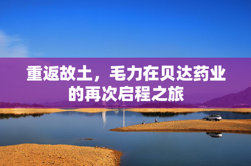 重返故土，毛力在贝达药业的再次启程之旅