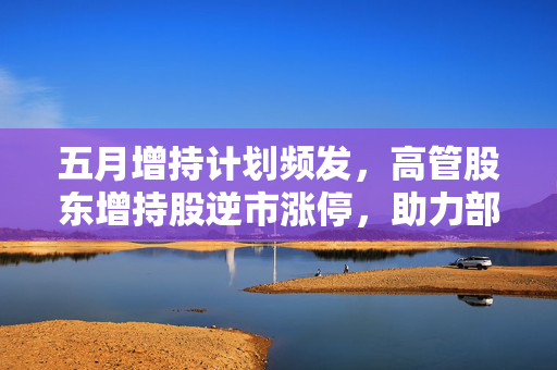 五月增持计划频发，高管股东增持股逆市涨停，助力部分公司脱离退市风险