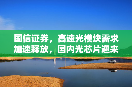 国信证券，高速光模块需求加速释放，国内光芯片迎来发展新机遇