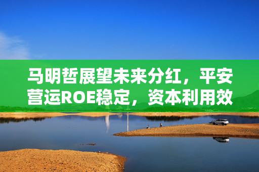 马明哲展望未来分红，平安营运ROE稳定，资本利用效率创新高