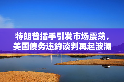 特朗普插手引发市场震荡，美国债务违约谈判再起波澜