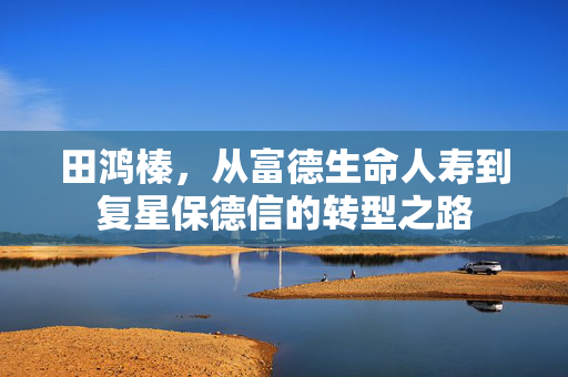 田鸿榛，从富德生命人寿到复星保德信的转型之路