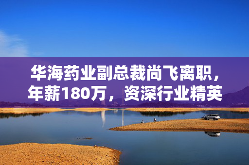 华海药业副总裁尚飞离职，年薪180万，资深行业精英的离任