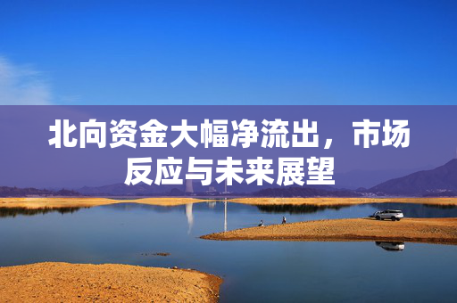 北向资金大幅净流出，市场反应与未来展望