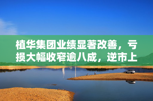 植华集团业绩显著改善，亏损大幅收窄逾八成，逆市上涨4%