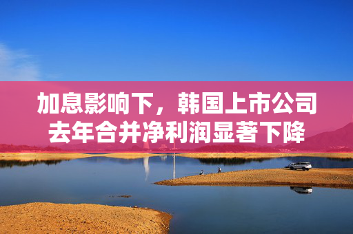 加息影响下，韩国上市公司去年合并净利润显著下降