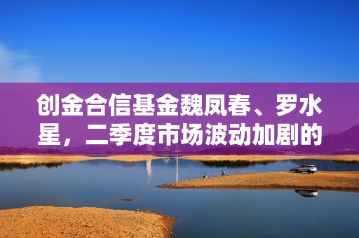 创金合信基金魏凤春、罗水星，二季度市场波动加剧的投资策略与市场分析