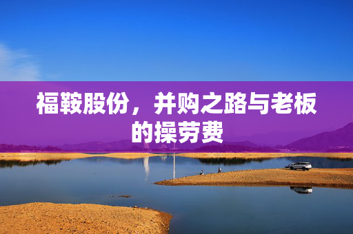 福鞍股份，并购之路与老板的操劳费