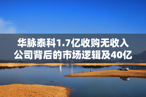 华脉泰科1.7亿收购无收入公司背后的市场逻辑及40亿市值申报分析