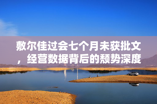 敷尔佳过会七个月未获批文，经营数据背后的颓势深度解析